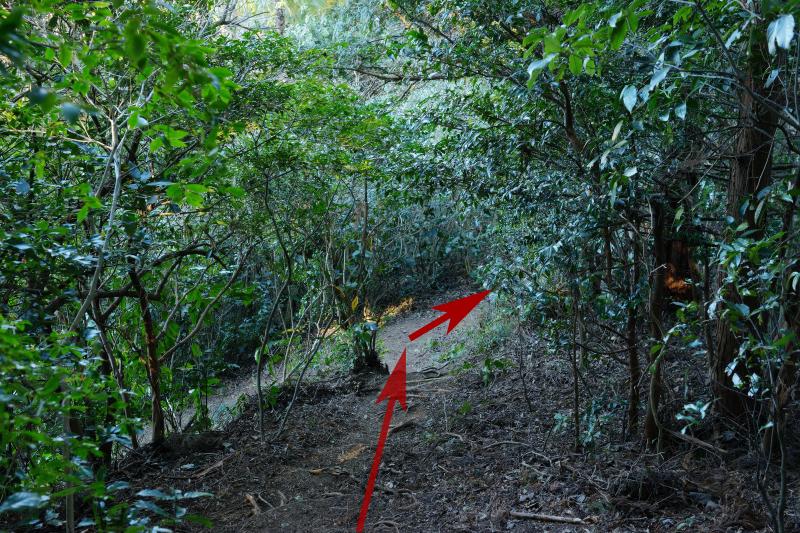 [ 朝鮮岩 登山ルート ]  