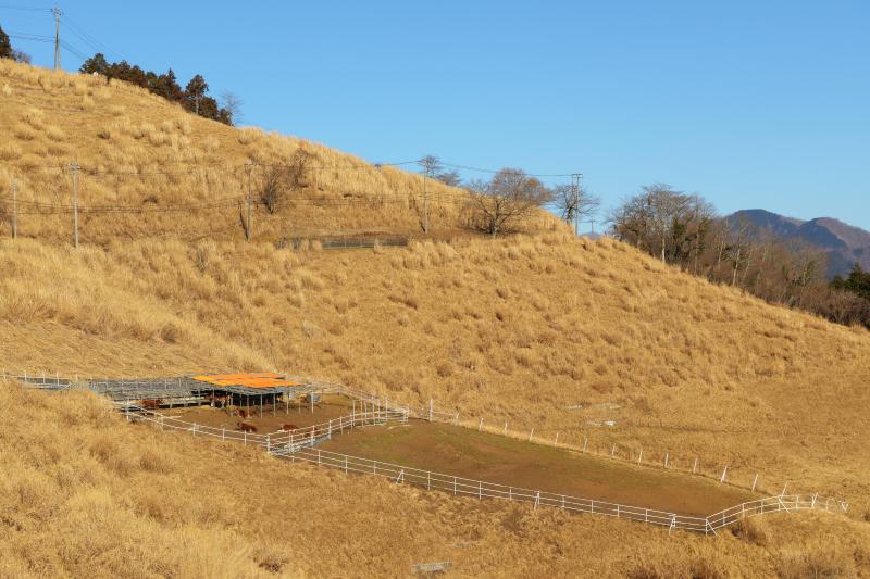 [ 大野山アクセス ]  
