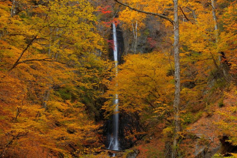 [ 白糸の滝 ]  