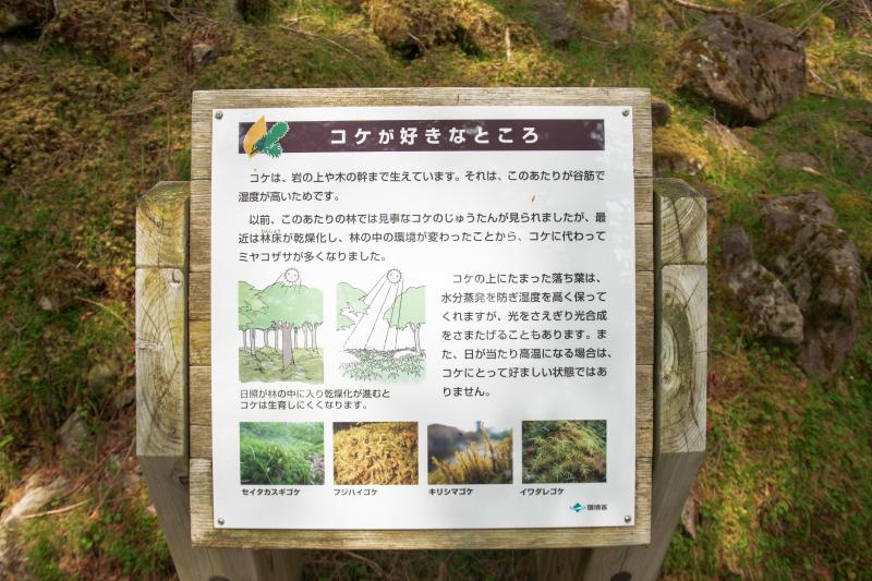 [ 大台ケ原 ]  