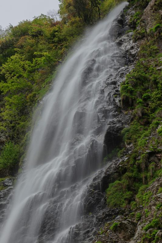 [ 天滝 ]  巨瀑で荘厳ながらも優美な感じのする滝でした。静かで心地よい水のサウンドに癒やされました。