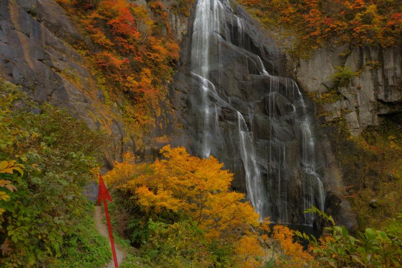 [ 安の滝 上段 ]  