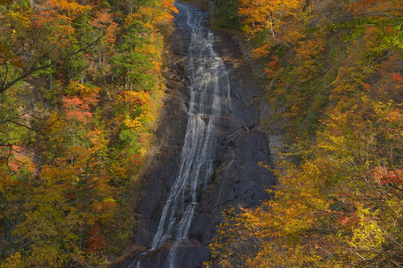 幸兵衛滝 紅葉| 滝の周囲は紅葉真っ盛り。光を浴びた紅葉が輝き、美しい秋の風景が広がっていました。
