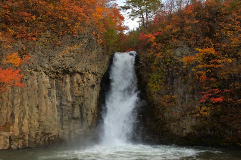 [ 銚子の滝 紅葉 ]  迫力ある岩盤が印象的な銚子の滝。岩を彩る紅葉に癒やされます。