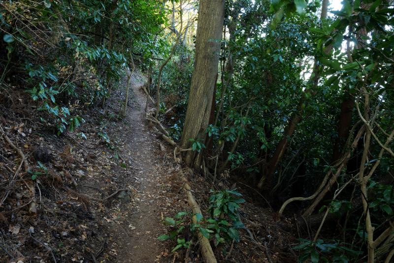 [ 朝鮮岩 登山ルート ]  