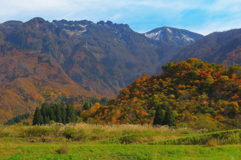 [ 八海山 ]  