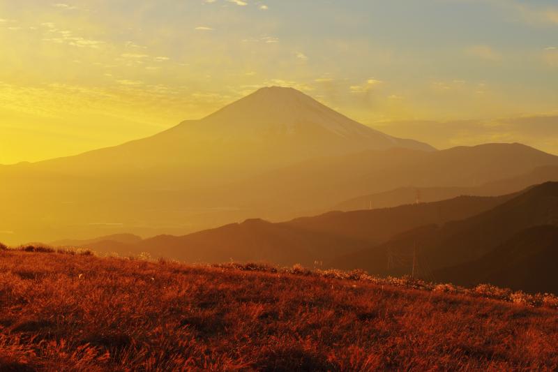 夕焼けの富士山| 夕焼けの強い斜光で草原と富士山がオレンジ色に染まりました。