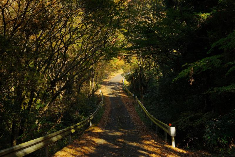 [ 三王山 アクセス ]  