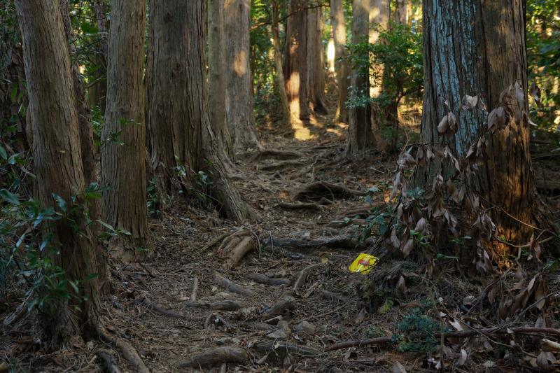 [ 朝鮮岩 登山ルート ]  