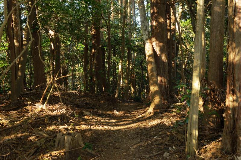 [ 朝鮮岩 登山ルート ]  