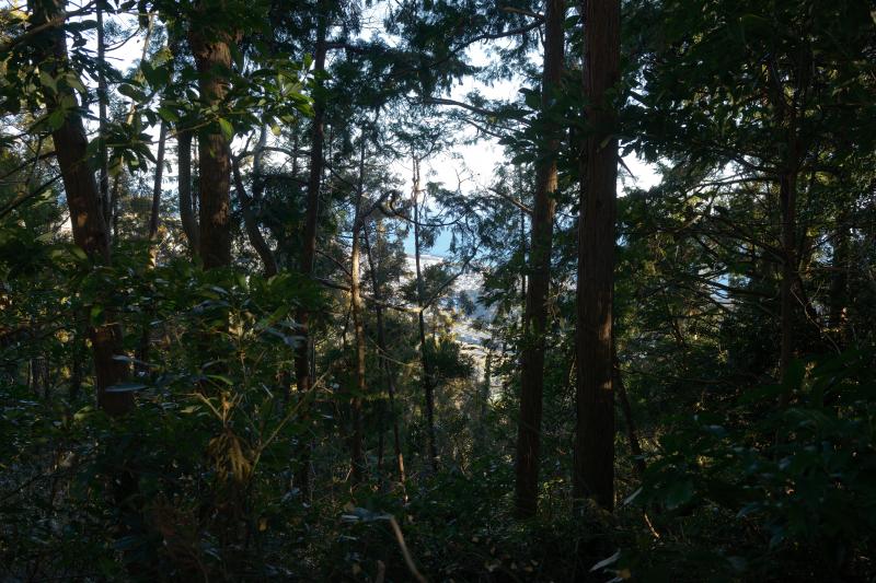 [ 朝鮮岩 登山ルート ]  