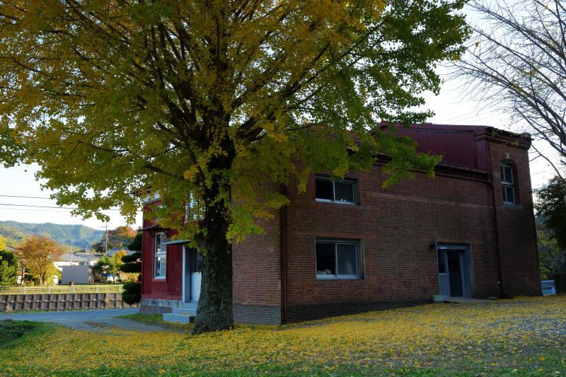 旧町屋変電所全景| 味のあるレンガ造りの建物とそれを守るような銀杏の木。イチョウの絨毯が綺麗でした。