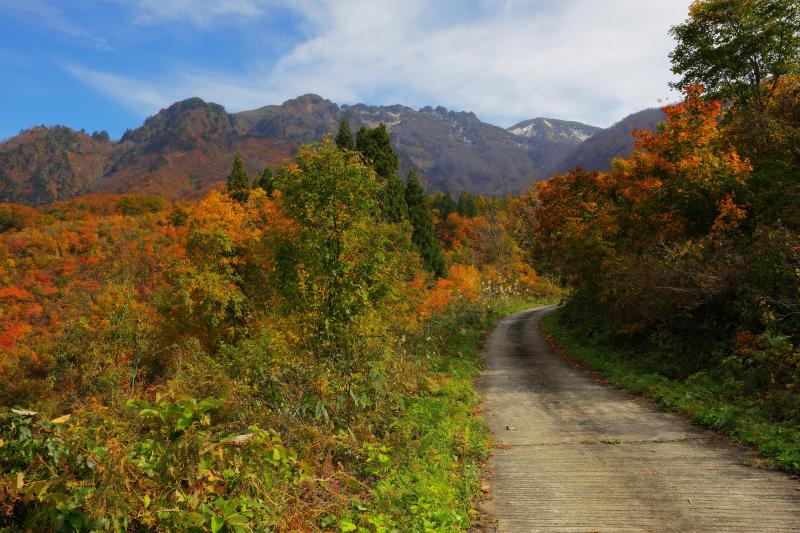 [ 八海山 ]  