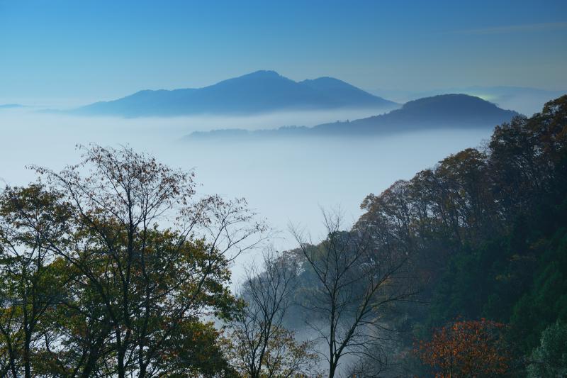 [ 鎌倉山 雲海 ]  