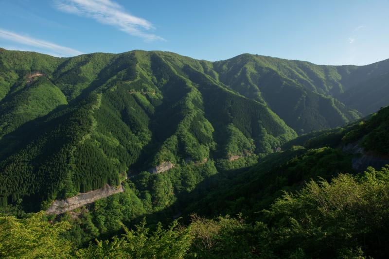 ナメゴ谷 全景| 眺望ポイントからのナメゴ谷全景です。