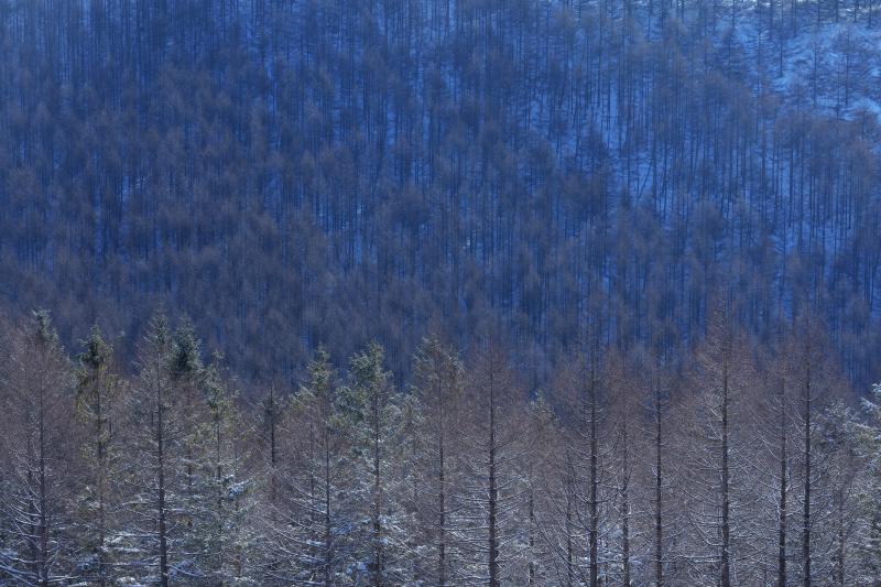 [ 霧ヶ峰 霧氷 ]  