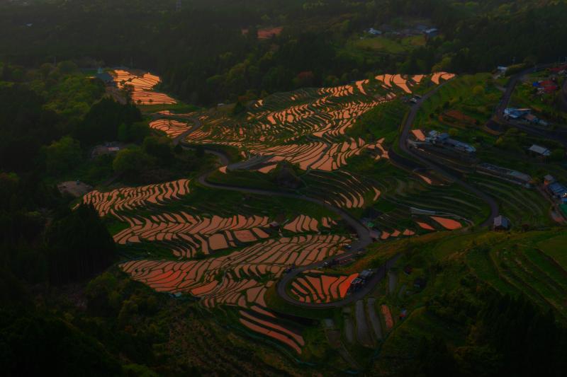 丸山千枚田俯瞰| 