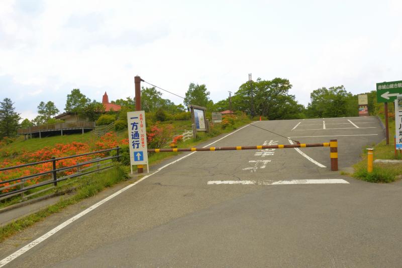 [ 白樺牧場 レンゲツツジ ]  