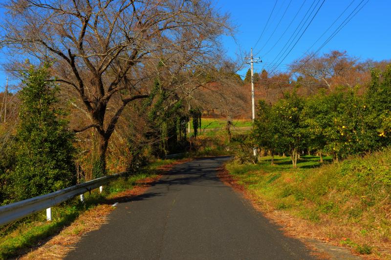 [ 三王山 アクセス ]  