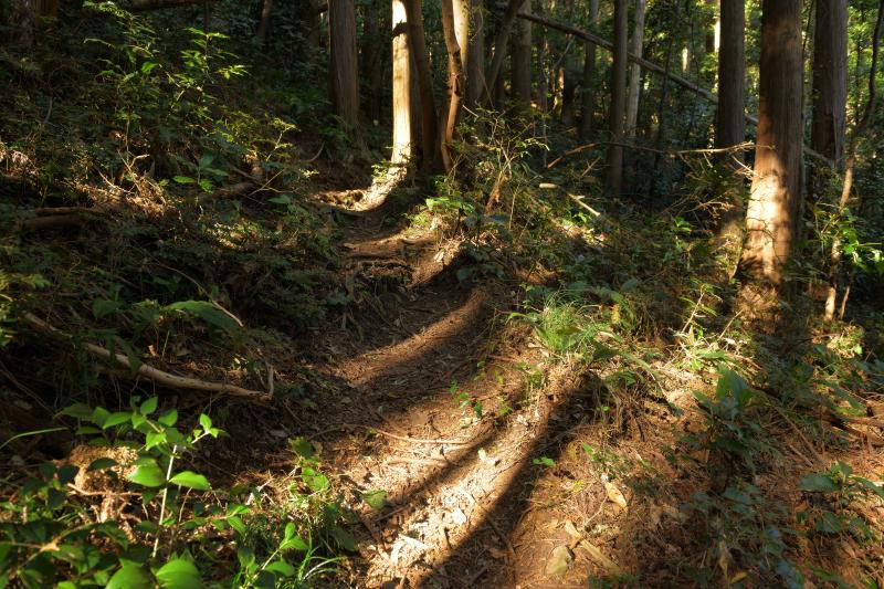 [ 朝鮮岩 登山ルート ]  