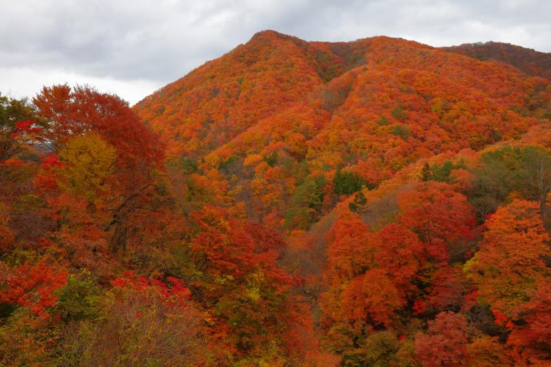 [ 白砂渓谷の紅葉 ]  