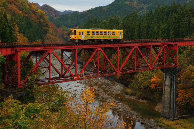 [ 赤い橋梁と秋田内陸線 ]  紅葉に包まれた鉄橋の上を、黄色い一両編成の電車が走り抜けていきました。