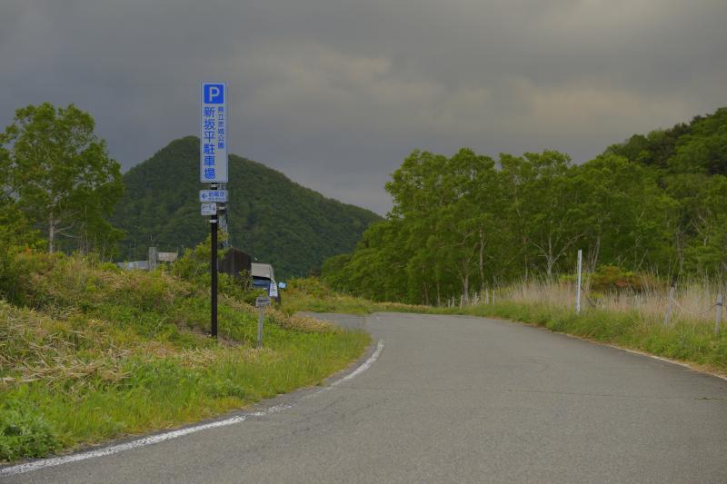 [ 白樺牧場 レンゲツツジ ]  