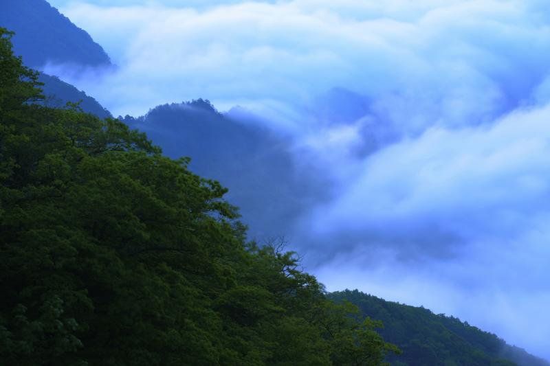 [ うねり ]  眼の前で激しく動く雲海。尾根を乗り越えた雲が次の谷へと流れ込んでいきます。