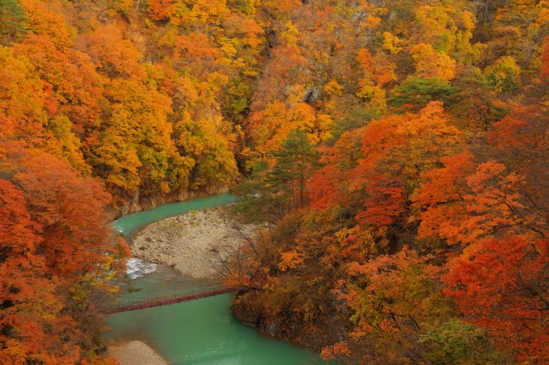 [ 白砂渓谷の紅葉 ]  