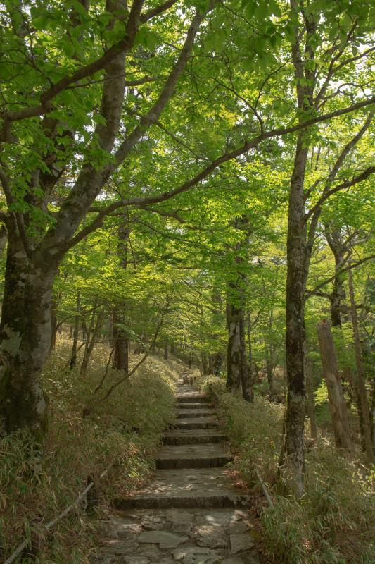 [ 大台ケ原 ]  