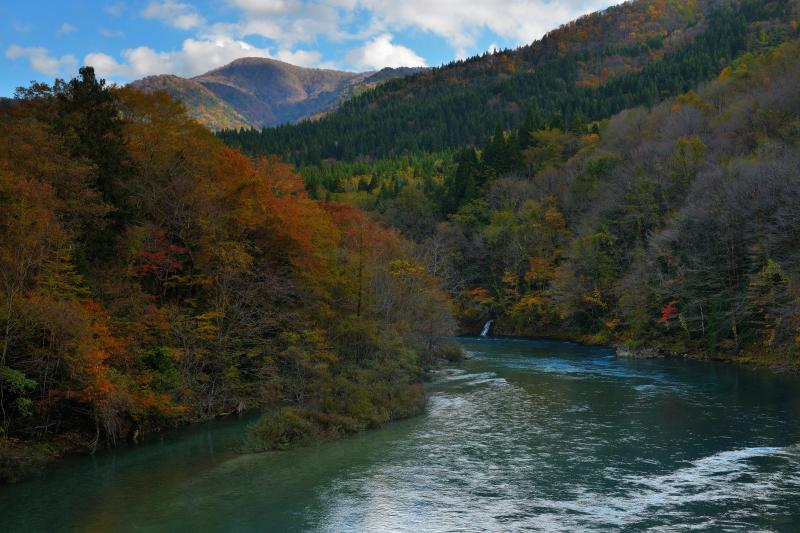 静かな流れ| エメラルドグリーンの美しい川の流れ。紅葉とグリーンの美しきコラボレーション。