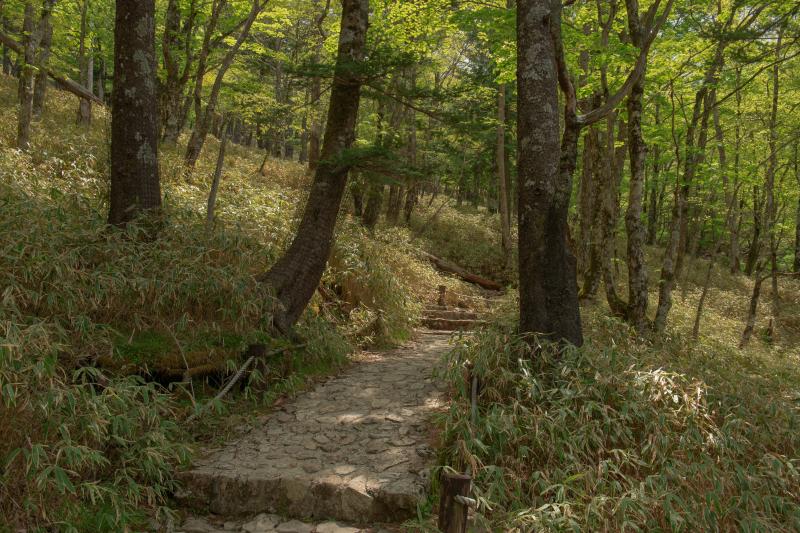 [ 大台ケ原 ]  