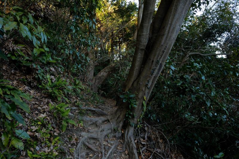 [ 朝鮮岩 登山ルート ]  