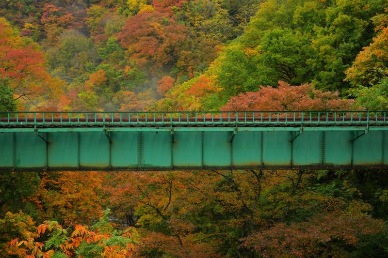 鳥坂橋 紅葉| 