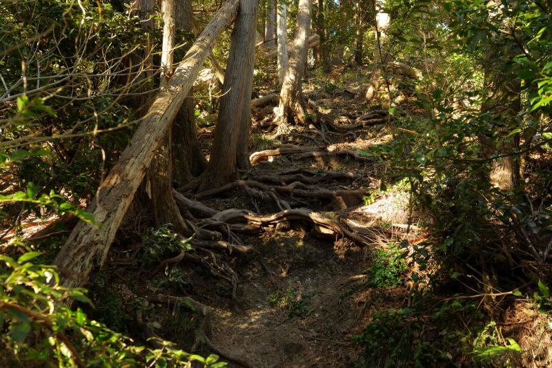 [ 朝鮮岩 登山ルート ]  