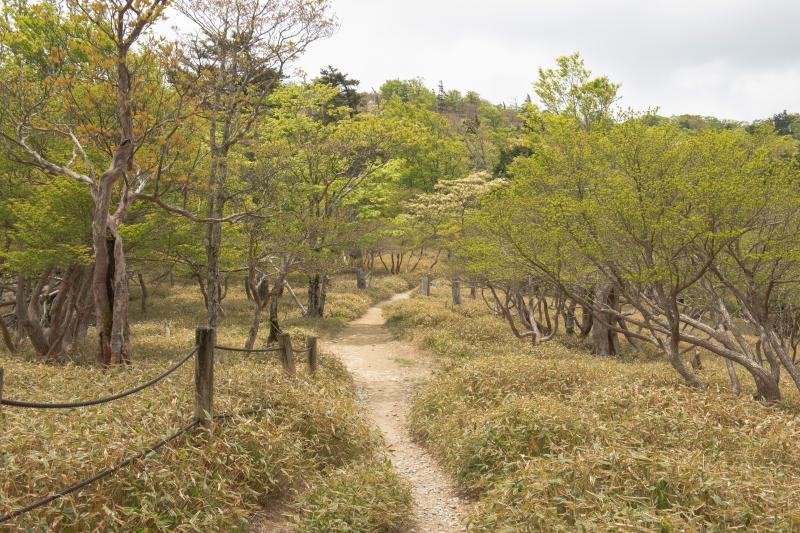 [ 大台ケ原 ]  