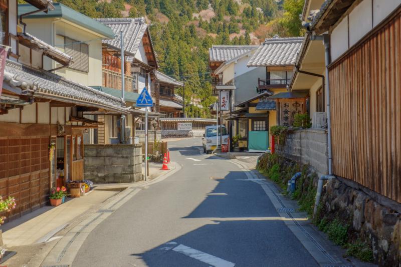 [ 室生寺の桜 ]  