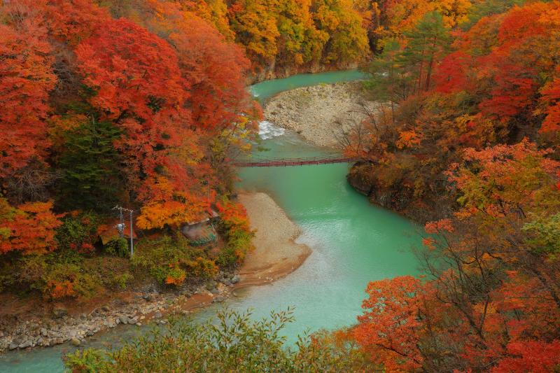 [ 白砂渓谷の紅葉 ]  