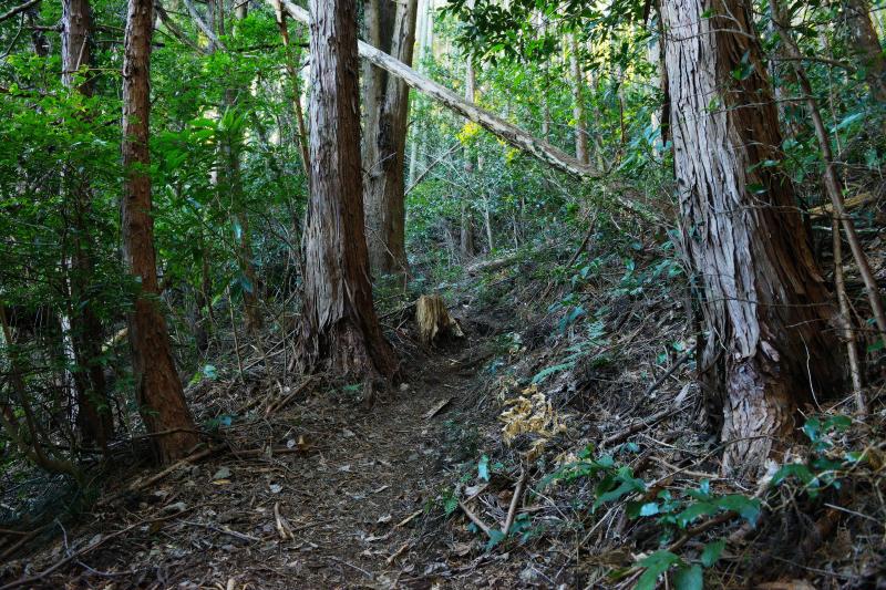 [ 朝鮮岩 登山ルート ]  