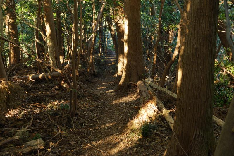 [ 朝鮮岩 登山ルート ]  