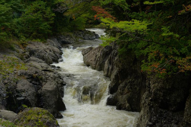 薬研渓谷| 道路沿いから岩の間を流れる豪快な流れを見ることができました。