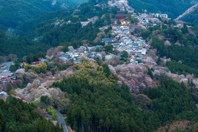 花矢倉展望台 吉野山桜景| 