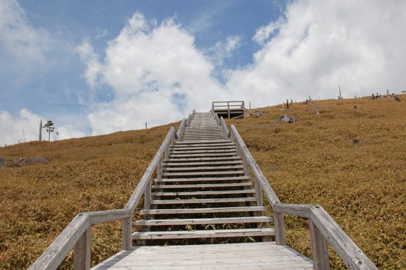 天に続く階段| 正木峠付近は木道と階段が続いています。青空と湧き上がる白い雲が印象的でした。