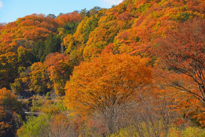 [ 能泉湖紅葉 ]  湖畔の山々は燃えるような紅葉。昇仙峡の奥にある隠れた紅葉名所です。