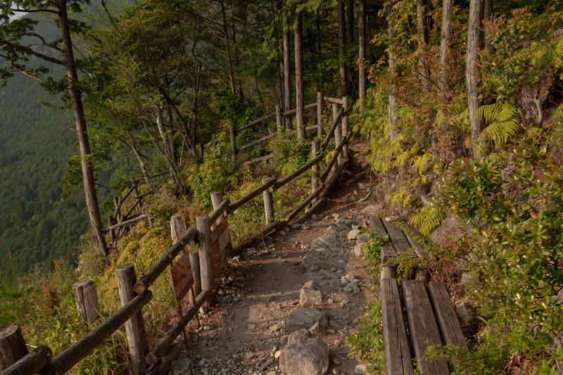 [ 丸山千枚田俯瞰 ]  