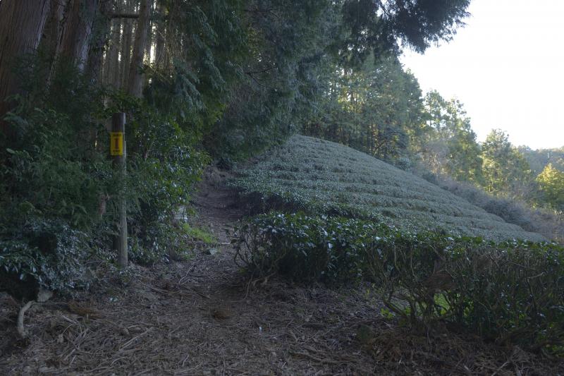 [ 朝鮮岩 登山ルート ]  