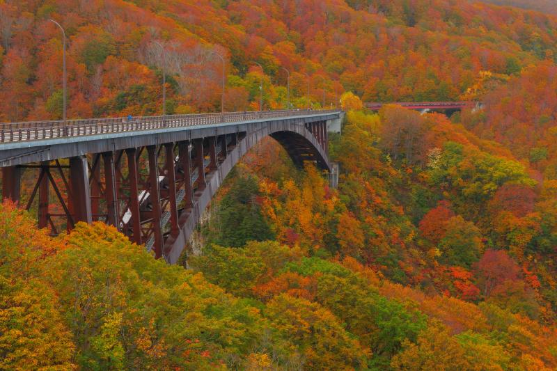 [ 城ヶ倉大橋紅葉 ]  紅葉がピークになった城ヶ倉大橋。上路式アーチ橋としては日本一の規模を誇る、八甲田を代表するビュースポット。