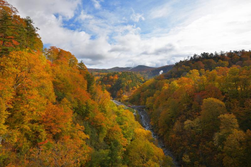 [ 紅葉の谷 ]  橋の上から八幡平方面を望む。迫力ある紅葉の大斜面。