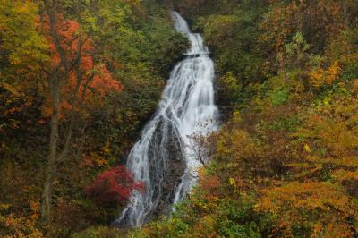 段瀑| 紅葉の中を流れ落ちる段瀑。白い布のような上品な美しさがありました。