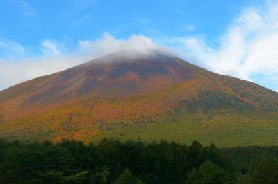 岩手山紅葉| 雨が上がり、青空が出てきました。美しい紅葉のグラデーションが印象的でした。